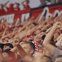 Kibice GIF by Widzew Łódź