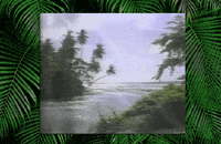 palm trees beach GIF