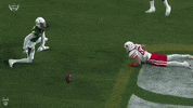 Usf Football GIF by SoFloBulls