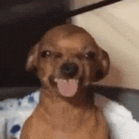 GawdUsopp tongue freaky freak tongue out GIF