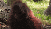 Atlanta Atl GIF by ZooATL