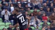 GIF by FOX Sports