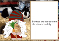 Bunny Rabbit Gnome GIF