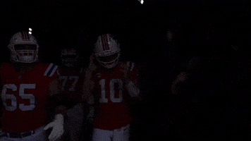 Football Nfl GIF by New England Patriots