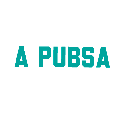 PUBSAMX giphyupload pubsa publicidadenbuscadores pubsamx Sticker