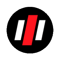 Party Festival Sticker by Techno TV