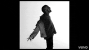 music video rihanna GIF by Vevo