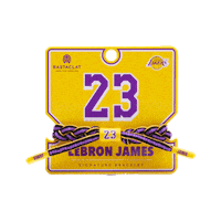 All Stars Nba Sticker by Rastaclat Bracelets