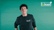 Lokaalnl greenscreen daan wizzflix lokaal GIF