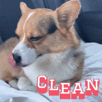 Milo GIF