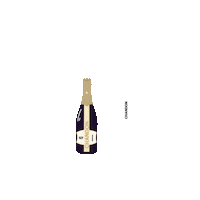 chandonar champagne celebracion brindis espumante Sticker
