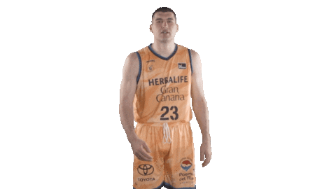 Entra Liga Endesa Sticker by ACB