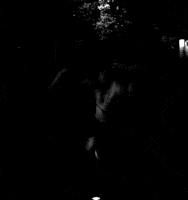 matthias brown GIF by TraceLoops