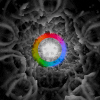 sigmasmm sigmamedia GIF