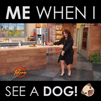 rachaelrayshow dog dogs doggie rachael ray GIF
