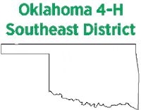 Clover 4H Sticker by Oklahoma 4-H