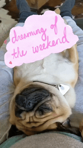 Fin De Semana Dog GIF
