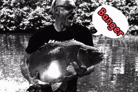 BaitnBalls  GIF
