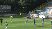 Gold Celebrate GIF by Yeovil Town FC