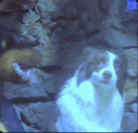 Happy Fight GIF