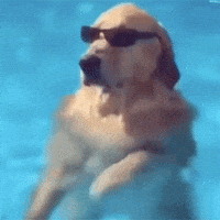 Party Dog GIF by jOnNy'S wOrLd