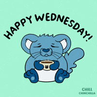 Sleepy Wednesday Morning GIF by VeeFriends