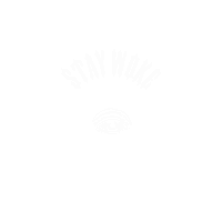 Lots Stay Woke Sticker by Meek Mill