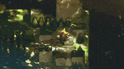 Fox Adventure GIF by Xbox