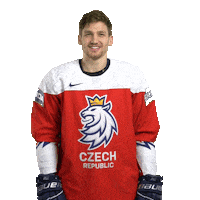 Celebration Hockey Sticker by Národní tým