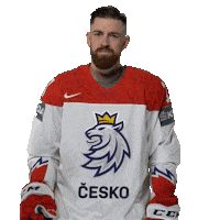 Celebration Hockey Sticker by Národní tým