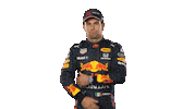 Red Bull Sport Sticker by Oracle Red Bull Racing