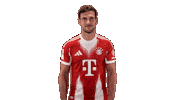 Fc Bayern Love Sticker by Bundesliga