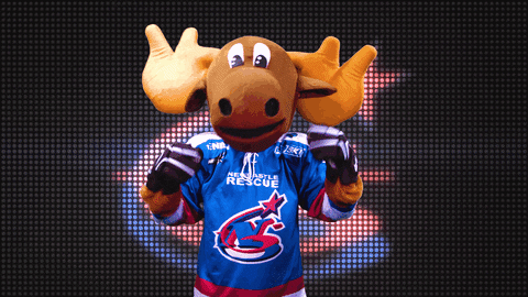 make some noise marty moose GIF by Newcastle Northstars