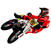 Deeo Sticker