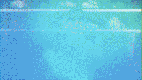 baseball wave GIF by GreenWave