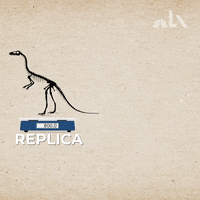 LX_GIFS dino bones lx GIF