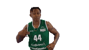 Sport Basketball Sticker by Basket_fi