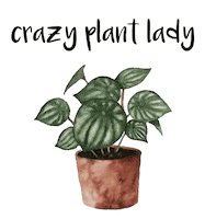 plant crazyplantlady Sticker by the Framehouse