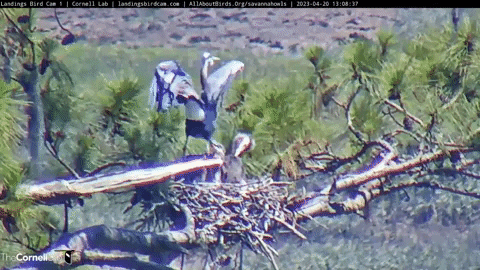 hdontap giphyupload GIF