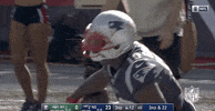 Regular Season Football GIF by NFL