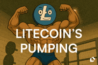 Send It Pumped Up GIF by LitVM