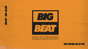 wearebigbeat dance music house edm GIF