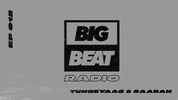 wearebigbeat dance music house edm GIF