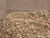 autumn GIF