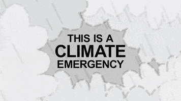Climate Change Animation GIF by Reuben Armstrong