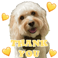 Thanks Thank You Sticker by Pimp Yo Pets