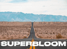 LaCasadelZorro zorro superbloom anzaborrego lacasadelzorro GIF