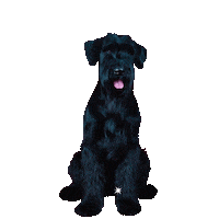 Giant Dog Sticker