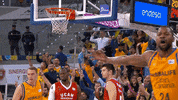 liga endesa basketball GIF by ACB