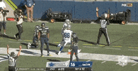 Regular Season Football GIF by NFL